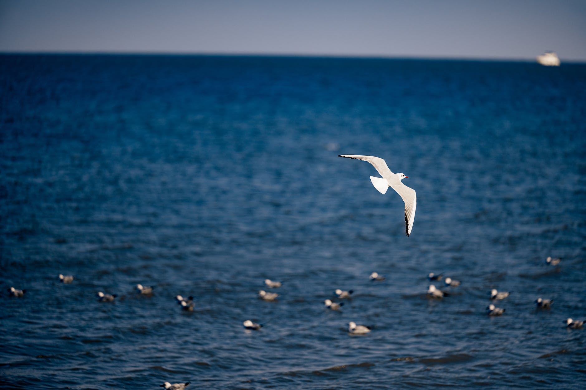 2023 sahin turk muhendisliginin basarisi